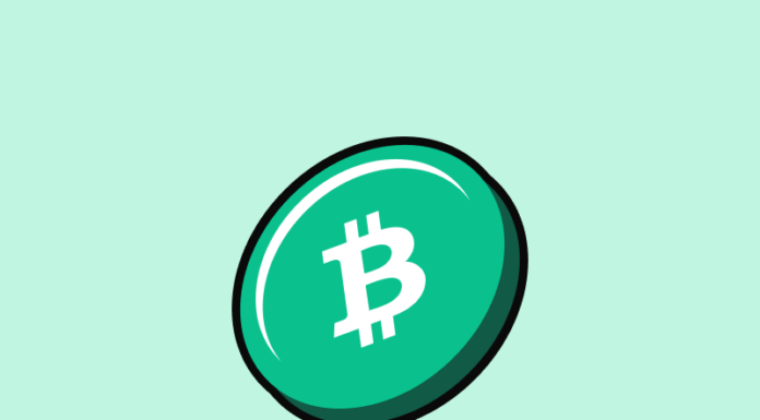 Bitcoin Cash (BCH): un analista señala el momento ideal para una compra estratégica