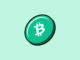Bitcoin Cash (BCH): un analista señala el momento ideal para una compra estratégica