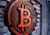 Esta semana en monedas: Bitcoin termina en números rojos, pero algunas criptomonedas alternativas sobreviven a una semana de locura