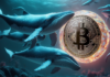 Bitcoin enfrenta presión de venta por parte de nuevas ballenas mientras BTC ronda los $57,000