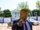 Las memecoins inspiradas en Trump se disparan un 40% en medio de rumores de respaldo por parte de RFK Jr.