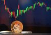 Dogecoin (DOGE) se convierte oficialmente en la memecoin más rentable del mercado