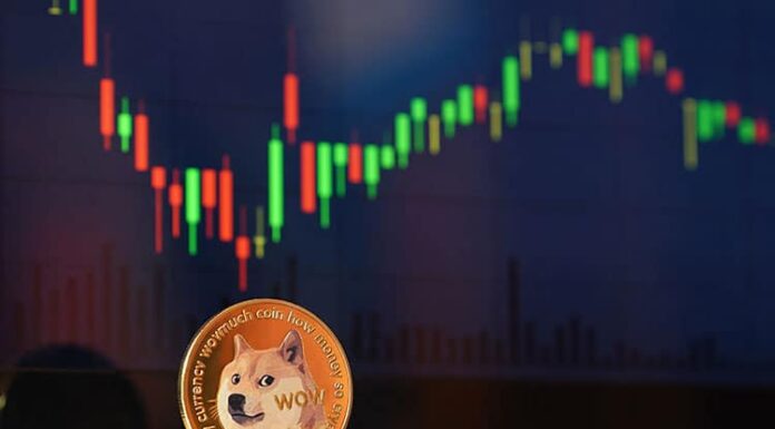 Dogecoin (DOGE) se convierte oficialmente en la memecoin más rentable del mercado