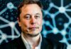 Donald Trump promete poner a Elon Musk en su gabinete: vea dos memecoins que podrían beneficiarse