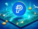 La moneda estable de PayPal ve un aumento de la 'capitalización de mercado' del 97% después de su llegada a Solana