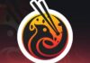 Phoenix Rising: construyendo una «ventanilla única» para DeFi en Stellar