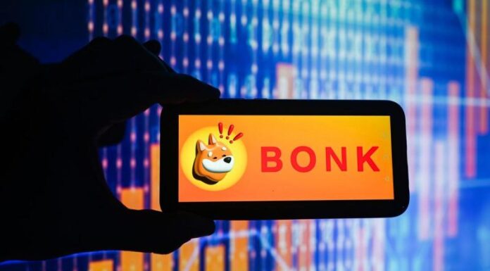 Los alcistas del BONK toman el control: el impulso alcista aumenta después del retroceso