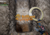 Brilliantcrypto lanza el token BRIL en Bit2Me antes de destacarse en NFT Brasi