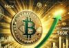 El impulso de Bitcoin va en aumento, pero recuperar los 60.000 dólares es crucial, afirma un analista