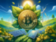 Filial de TEPCO se aventura en la minería de Bitcoin utilizando excedentes de energía solar