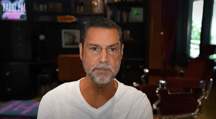 Crypto Guru advierte: Sólo quedan 6 años para «ganar tanto dinero como sea posible»