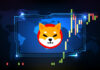 La ruptura de Shiba Inu apunta al nivel de $ 0.00002631 después de subir más del 19%