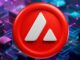 La actualización Avalanche 9000 aumenta el comercio y el valor del token AVAX