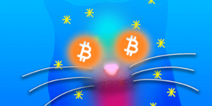 bitcoin-opcat-gID_7.png