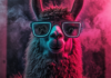 Meta presenta Llama 3.2 de código abierto: IA que ve y cabe en su bolsillo