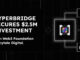 Web3 Foundation y Scytale lideran una inversión inicial de 2,5 millones de dólares en Hyperbridge para desarrollar la interoperabilidad de blockchain en Polkadot