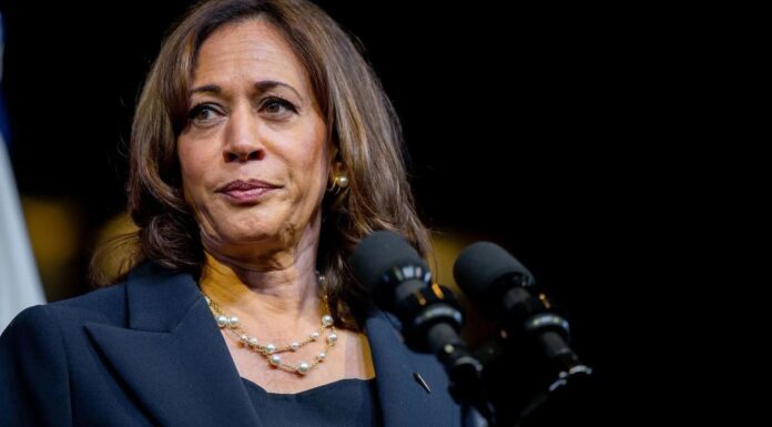 Kamala Harris promete apoyo a las criptomonedas y la Inteligencia Artificial