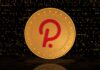Polkadot BR desarrollará el ecosistema Blockchain de Paraguay