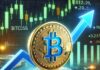 ¿Ha terminado lo peor para Bitcoin? Un analista sugiere que el fondo local podría estar aquí
