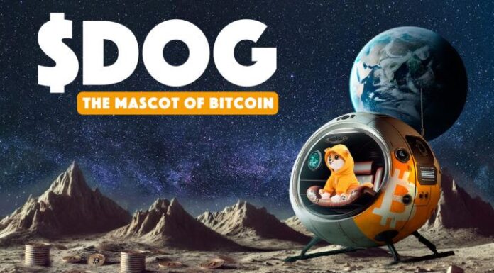 Los peluches $DOG de edición limitada se lanzarán el 19 de octubre de 2024, uniendo los coleccionables digitales y físicos