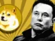 Elon Musk está animando el rally de Dogecoin, ¿continuará el impulso de DOGE?
