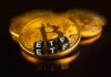 Un analista respalda que los ETF spot de Bitcoin superen a los ETF de oro en entradas netas acumuladas
