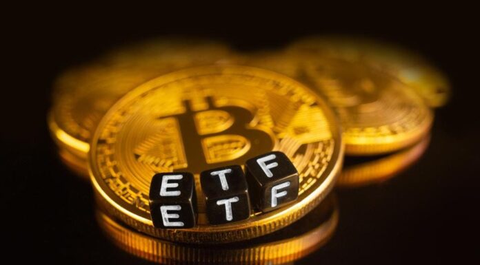 Un analista respalda que los ETF spot de Bitcoin superen a los ETF de oro en entradas netas acumuladas