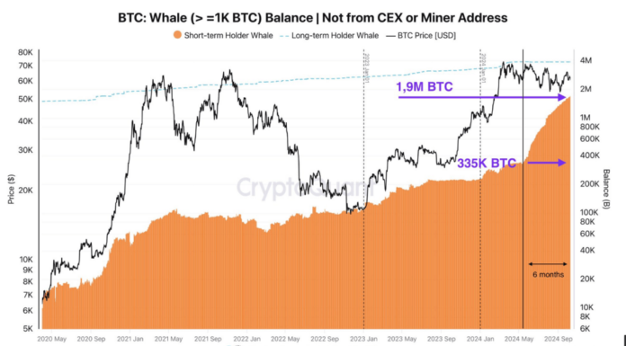 Las ballenas acumulan 90 millones de dólares en Bitcoin: ¿una señal de lo que está por venir?
