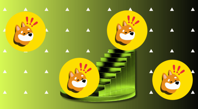BONK supera a Bitcoin, Ethereum y Solana, ¿qué está pasando?