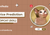 Predicción del precio de Popcat (SOL) POPCAT 2024 – 2030: ¿POPCAT alcanzará $ 1 este año?