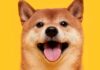 Dogecoin vuelve a estar en la luna después de que Musk dejara de mencionar el token durante el ayuntamiento de Pensilvania