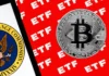 La SEC da luz verde a las opciones ETF de Bitcoin: ¿qué sigue?