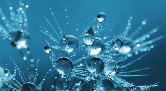 Lido (LDO) enfrenta una corrección masiva a medida que las pérdidas de tokens aumentan al 20%