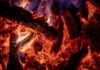 Quema de tokens de Tron: desaparecieron 10 millones: ¿qué significa para el precio de TRX?