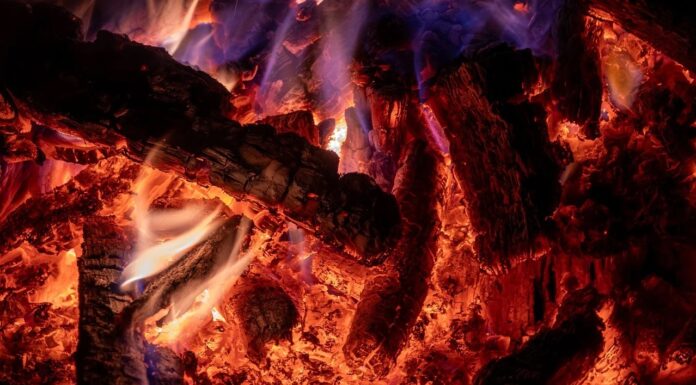 Quema de tokens de Tron: desaparecieron 10 millones: ¿qué significa para el precio de TRX?