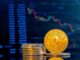 Bitcoin Hoy 22/10/2024: BTC cae y Metaplanet toma nueva deuda para comprar criptomonedas