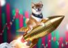 La gran mayoría de los poseedores de Dogecoin ganan dinero después de la bomba Trump de Elon Musk