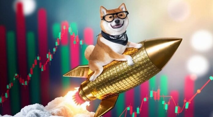 La gran mayoría de los poseedores de Dogecoin ganan dinero después de la bomba Trump de Elon Musk