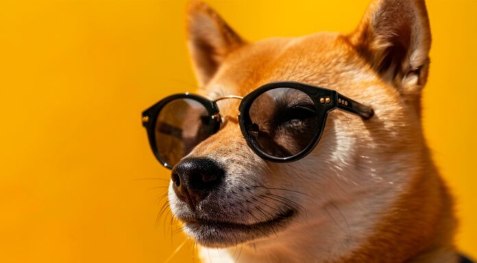 Bitcoin Hoy 18/10/2024: BTC intenta superar los US$ 68 mil y Dogecoin se dispara tras apoyo de Elon Musk