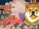 $LIFEDOG, el proyecto basado en Ethereum interesado en revivir las monedas de perro