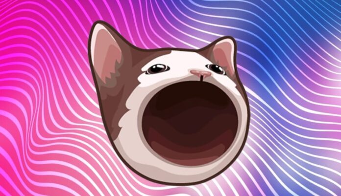 popcatyo-2.jpg
