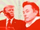 ¿Puede Elon Musk realmente transformar la eficiencia del gobierno estadounidense?