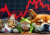 Monedas de memes superiores después de las pérdidas de dos dígitos en medio de la derrota del mercado de criptografía