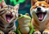 Bonk, Mog y Brett alcanzan máximos históricos mientras Dogecoin estimula la bomba de memes