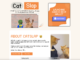 ¡Olvídate de Popcat! CatSlap ($SLAP) llega con ganancias explosivas y revoluciona el mercado de las monedas meme