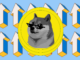 ¿Atropello al toro de Dogecoin (DOGE)? Los datos apuntan a un avance del 50%