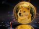 ¿Puede el precio de Dogecoin alcanzar 1 dólar antes de fin de año? Esto es lo que dicen los niveles de Fibonacci