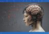 Un dispositivo portátil impulsado por IA restaura el habla natural en pacientes con accidente cerebrovascular