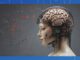 Un dispositivo portátil impulsado por IA restaura el habla natural en pacientes con accidente cerebrovascular