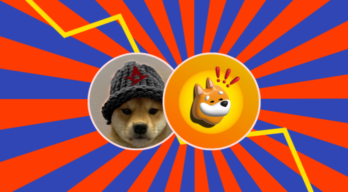 BONK supera a WIF y se convierte en la moneda meme líder de Solana